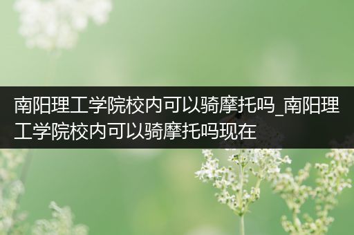 南阳理工学院校内可以骑摩托吗_南阳理工学院校内可以骑摩托吗现在