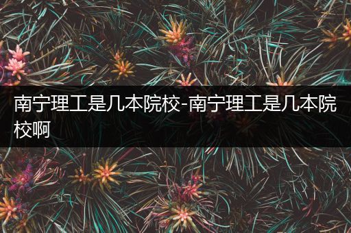 南宁理工是几本院校-南宁理工是几本院校啊