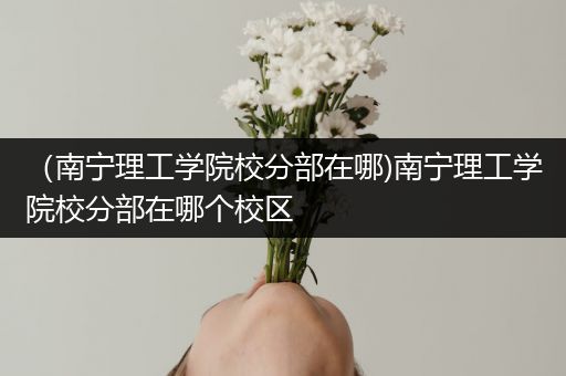 （南宁理工学院校分部在哪)南宁理工学院校分部在哪个校区