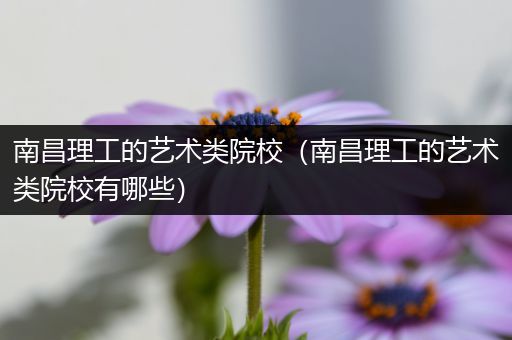 南昌理工的艺术类院校（南昌理工的艺术类院校有哪些）