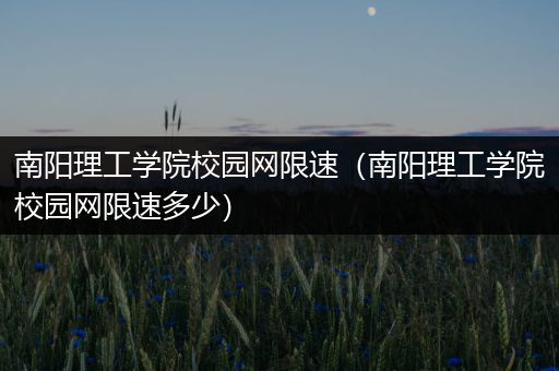 南阳理工学院校园网限速（南阳理工学院校园网限速多少）