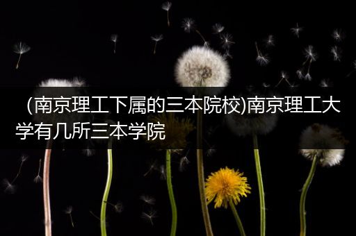 （南京理工下属的三本院校)南京理工大学有几所三本学院
