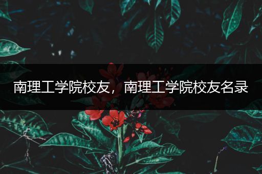 南理工学院校友，南理工学院校友名录
