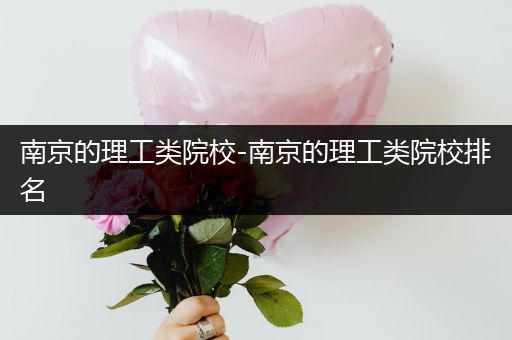 南京的理工类院校-南京的理工类院校排名