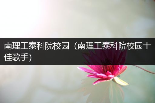 南理工泰科院校园（南理工泰科院校园十佳歌手）