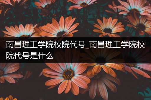 南昌理工学院校院代号_南昌理工学院校院代号是什么