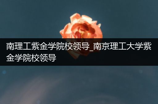 南理工紫金学院校领导_南京理工大学紫金学院校领导