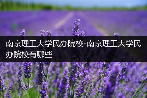 南京理工大学民办院校-南京理工大学民办院校有哪些