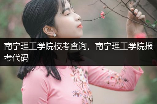 南宁理工学院校考查询，南宁理工学院报考代码