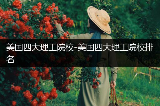 美国四大理工院校-美国四大理工院校排名