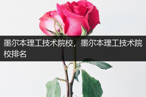 墨尔本理工技术院校，墨尔本理工技术院校排名