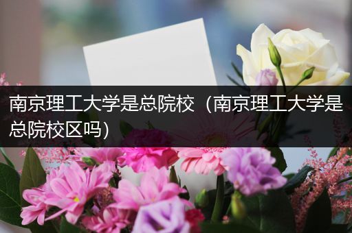 南京理工大学是总院校（南京理工大学是总院校区吗）