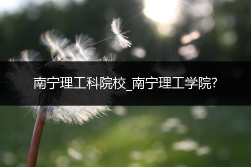 南宁理工科院校_南宁理工学院?