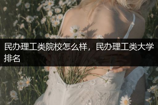 民办理工类院校怎么样，民办理工类大学排名
