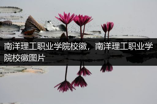 南洋理工职业学院校徽，南洋理工职业学院校徽图片