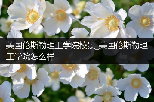 美国伦斯勒理工学院校景_美国伦斯勒理工学院怎么样