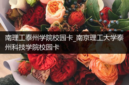南理工泰州学院校园卡_南京理工大学泰州科技学院校园卡