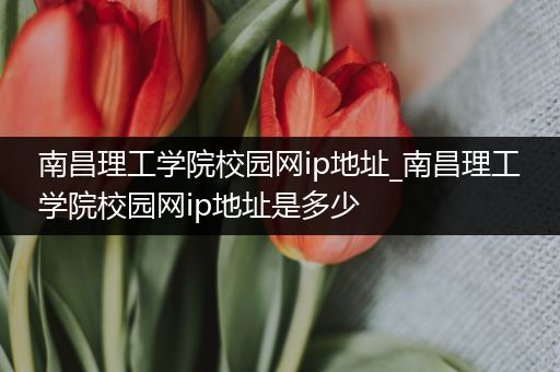 南昌理工学院校园网ip地址_南昌理工学院校园网ip地址是多少