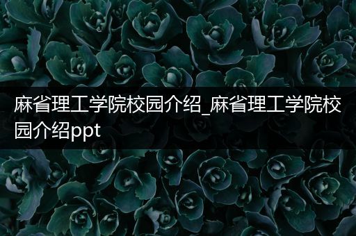 麻省理工学院校园介绍_麻省理工学院校园介绍ppt