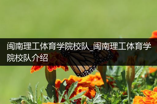 闽南理工体育学院校队_闽南理工体育学院校队介绍