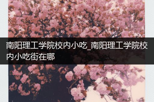 南阳理工学院校内小吃_南阳理工学院校内小吃街在哪
