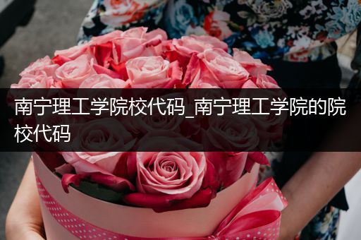 南宁理工学院校代码_南宁理工学院的院校代码