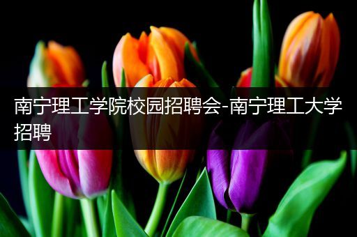 南宁理工学院校园招聘会-南宁理工大学招聘
