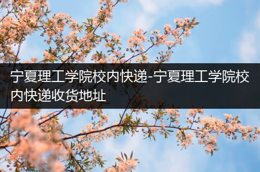 宁夏理工学院校内快递-宁夏理工学院校内快递收货地址