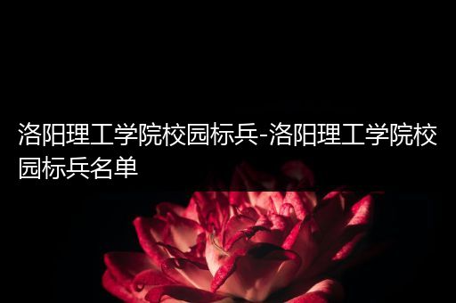 洛阳理工学院校园标兵-洛阳理工学院校园标兵名单
