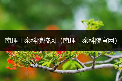 南理工泰科院校风（南理工泰科院官网）
