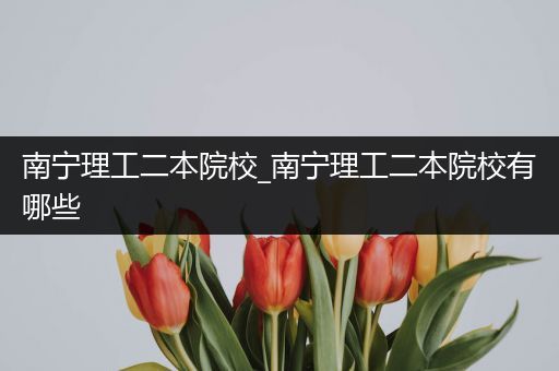 南宁理工二本院校_南宁理工二本院校有哪些