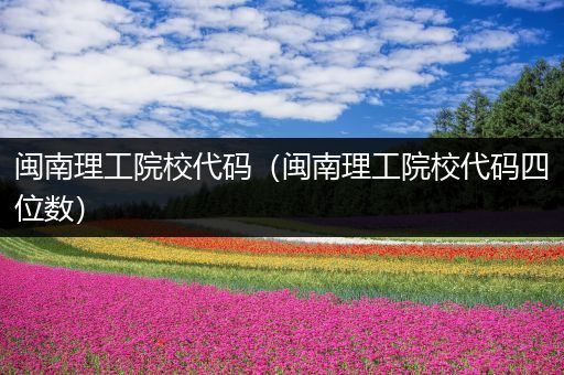 闽南理工院校代码（闽南理工院校代码四位数）