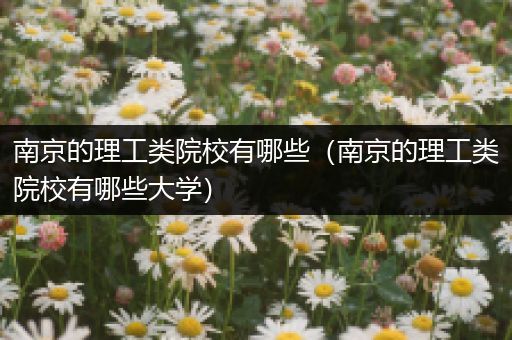 南京的理工类院校有哪些（南京的理工类院校有哪些大学）