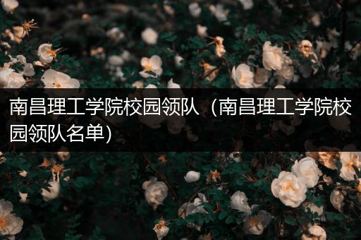 南昌理工学院校园领队（南昌理工学院校园领队名单）