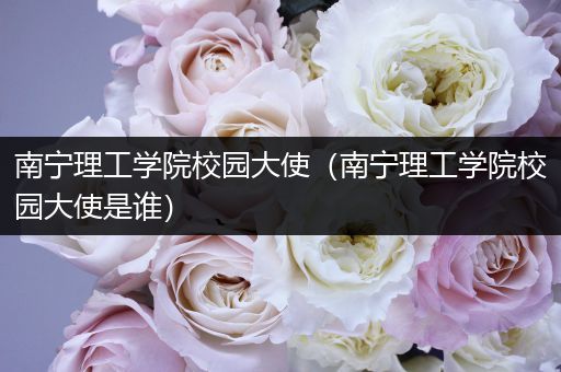 南宁理工学院校园大使（南宁理工学院校园大使是谁）