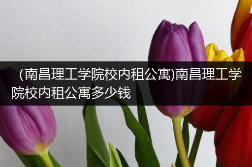 （南昌理工学院校内租公寓)南昌理工学院校内租公寓多少钱