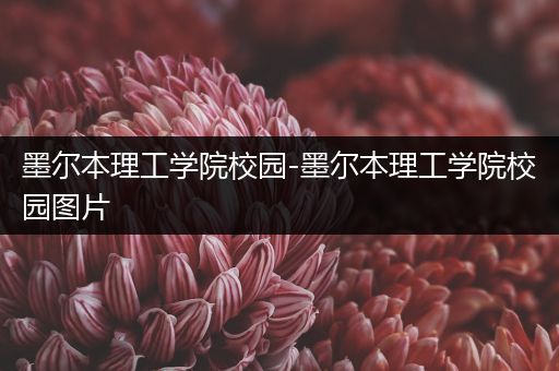 墨尔本理工学院校园-墨尔本理工学院校园图片