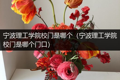 宁波理工学院校门是哪个（宁波理工学院校门是哪个门口）
