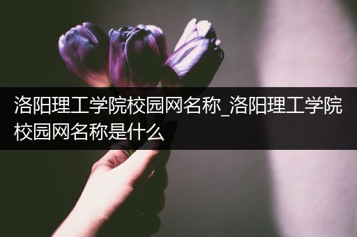 洛阳理工学院校园网名称_洛阳理工学院校园网名称是什么