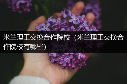 米兰理工交换合作院校（米兰理工交换合作院校有哪些）