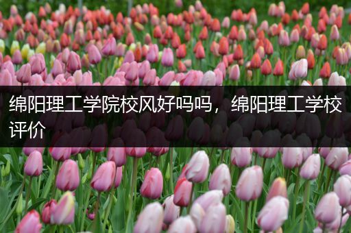 绵阳理工学院校风好吗吗，绵阳理工学校评价
