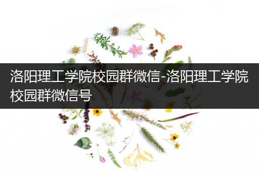 洛阳理工学院校园群微信-洛阳理工学院校园群微信号