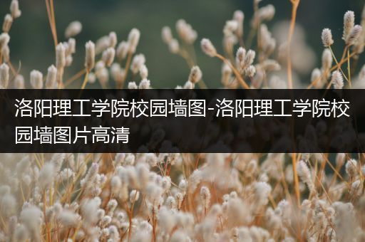 洛阳理工学院校园墙图-洛阳理工学院校园墙图片高清