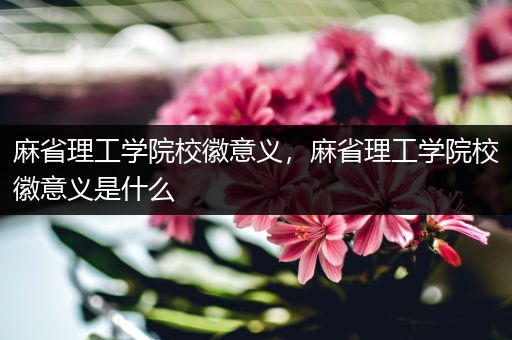 麻省理工学院校徽意义，麻省理工学院校徽意义是什么