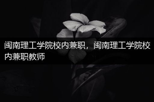 闽南理工学院校内兼职，闽南理工学院校内兼职教师