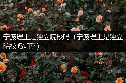 宁波理工是独立院校吗（宁波理工是独立院校吗知乎）