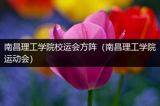 南昌理工学院校运会方阵（南昌理工学院运动会）