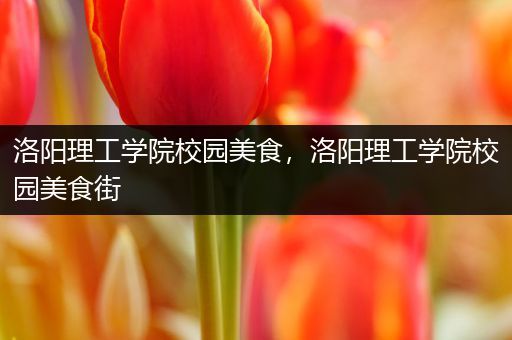洛阳理工学院校园美食，洛阳理工学院校园美食街