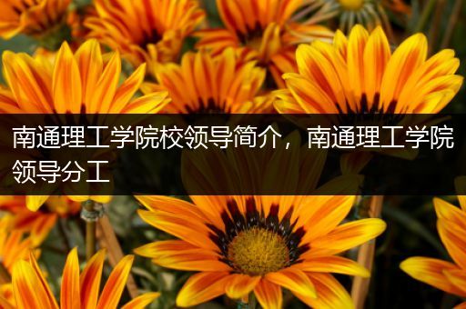 南通理工学院校领导简介，南通理工学院领导分工
