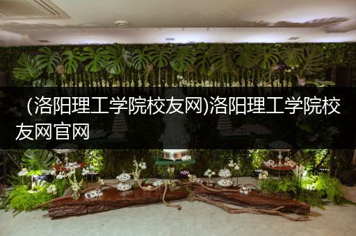 （洛阳理工学院校友网)洛阳理工学院校友网官网